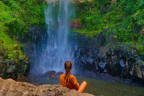 Rainforest & Waterfalls Extravaganza - Attractions Sydney 2
