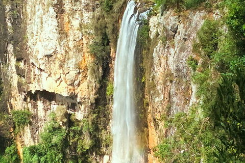 Rainforest & Waterfalls Extravaganza - Attractions Sydney 3