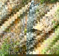 Private Tour - Rainforest  Waterfalls Extravaganza - Attractions Sydney