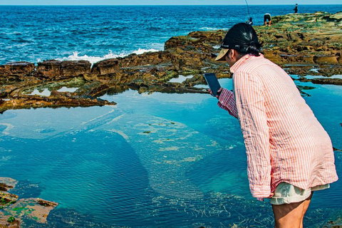 Sydney Private Tour Featuring Wilderness, Wildlife, Waves, Waterfalls And Wine - Attractions Sydney 1