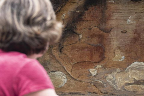 Sydney Private Tour Featuring Wilderness, Wildlife, Waves, Waterfalls And Wine - Attractions Sydney 2