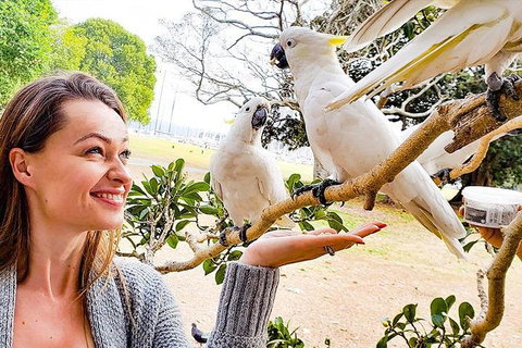 Sydney Private Tour Featuring Wilderness, Wildlife, Waves, Waterfalls And Wine - Attractions Sydney 4