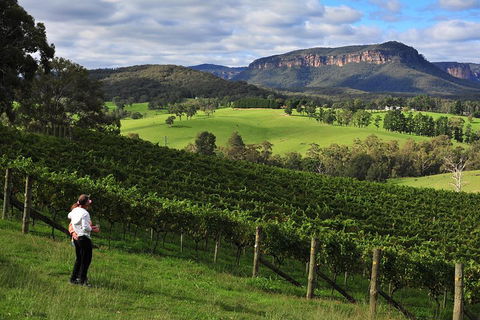 Private Blue Mountains And Winery Day-Trip From Sydney - Attractions Sydney 2