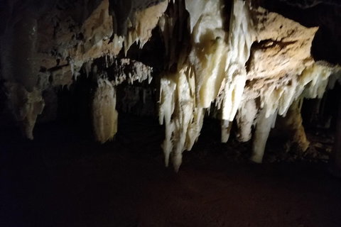 The Pinnacle Adventure Tour - Attractions Sydney 0