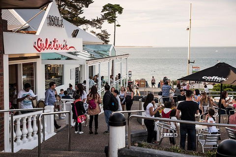 Phillip Island And French Island Wildlife Expedition - Attractions Sydney 0