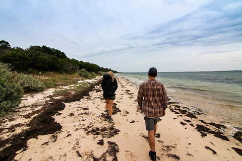 Phillip Island And French Island Wildlife Expedition - Attractions Sydney 1