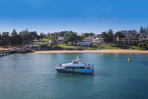 Phillip Island And French Island Wildlife Expedition - Attractions Sydney 2