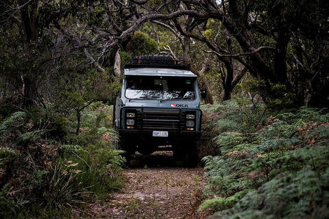 Phillip Island And French Island Wildlife Expedition - Attractions Sydney 4