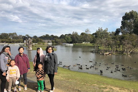 Phillip Island Penguins Private Tour - Attractions Sydney 1
