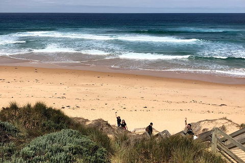 Phillip Island Penguins Private Tour - Attractions Sydney 4