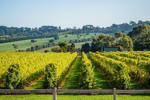 Private Tours From Melbourne - Attractions Sydney 1
