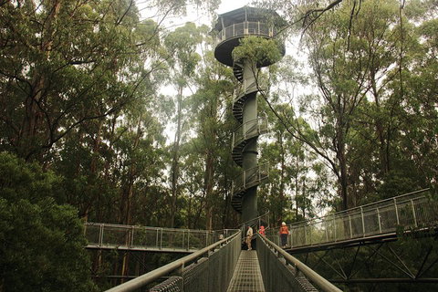 Private Tours From Melbourne - Attractions Sydney 5