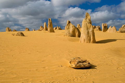 The Pinnacles, Sea And Dunescapes, Bush Reserve And Sunset Day Tour - Attractions Sydney 0