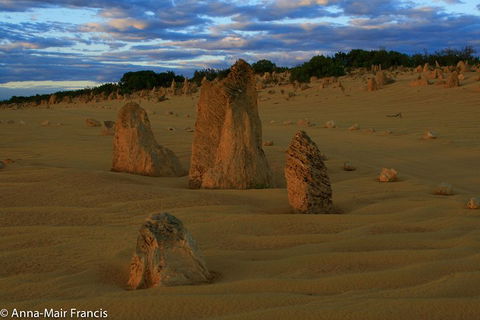 The Pinnacles, Sea And Dunescapes, Bush Reserve And Sunset Day Tour - Attractions Sydney 1