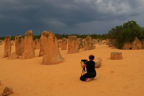 The Pinnacles, Sea And Dunescapes, Bush Reserve And Sunset Day Tour - Attractions Sydney 2