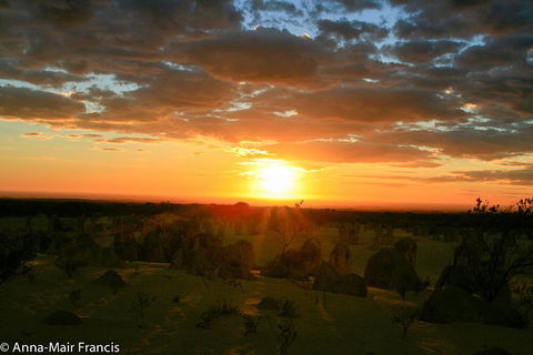 The Pinnacles, Sea And Dunescapes, Bush Reserve And Sunset Day Tour - Attractions Sydney 3