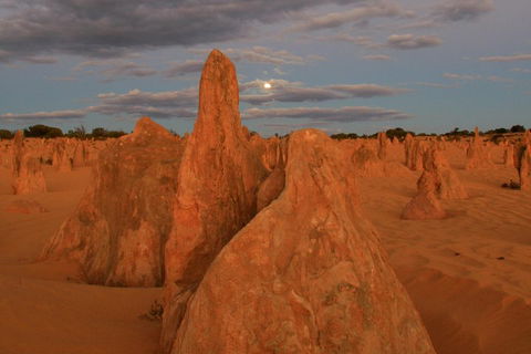 The Pinnacles, Sea And Dunescapes, Bush Reserve And Sunset Day Tour - Attractions Sydney 4