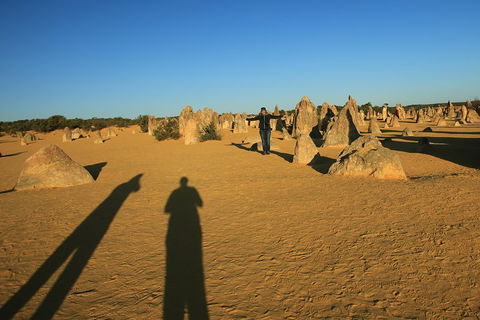 The Pinnacles, Sea And Dunescapes, Bush Reserve And Sunset Day Tour - Attractions Sydney 5