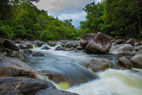 Cape Tribulation Day Tour - Attractions Sydney 0