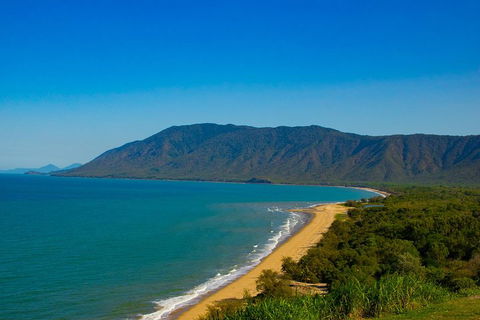 Cape Tribulation Day Tour - Attractions Sydney 1