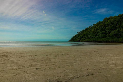 Cape Tribulation Day Tour - Attractions Sydney 2