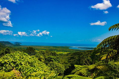 Cape Tribulation Day Tour - Attractions Sydney 3