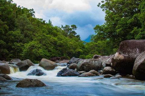 Cape Tribulation Day Tour - Attractions Sydney 4