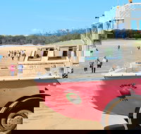 1770 Coastline Tour by LARC Amphibious Vehicle Including Picnic Lunch - Attractions Sydney