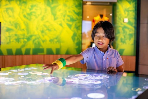 Melbourne Sports Experience + Free Australian Sports Museum Entry - Attractions Sydney 4