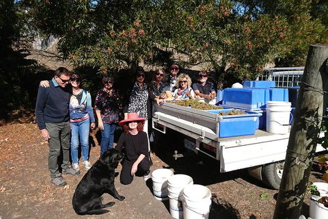 Valleys Of Vino Tour - Attractions Sydney 1