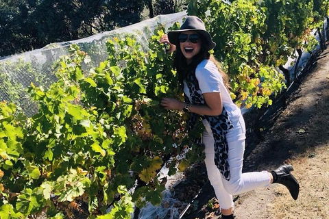 Valleys Of Vino Tour - Attractions Sydney 3