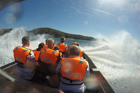 Noosa Thriller - 500hp Ocean Adventure Ride - Attractions Sydney 3