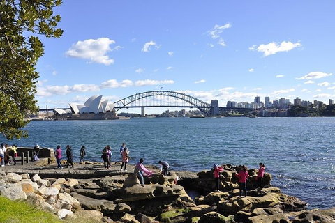Sydney Sightseeing Bus Tours - Attractions Sydney 2