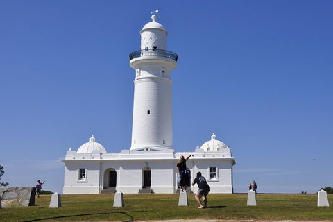 Sydney Sightseeing Bus Tours - Attractions Sydney 5