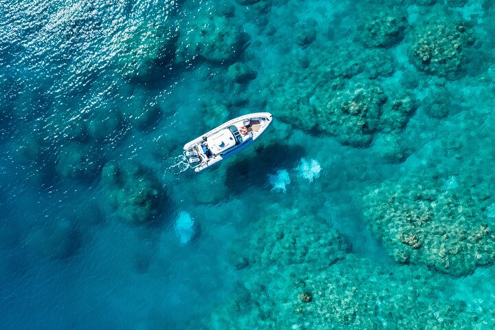 Hamilton Island QLD Attractions Sydney