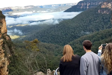 Blue Mountains Private Tour - Wild Kangaroos, Waterfalls And The Three Sisters - Attractions Sydney 3