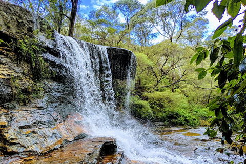 Blue Mountains Private Tour - Wild Kangaroos, Waterfalls And The Three Sisters - Attractions Sydney 5