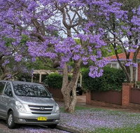 Sydney Secrets  Bondi Beach Private 4 Hr Morning with Personalised Sydney Tours - Attractions Sydney