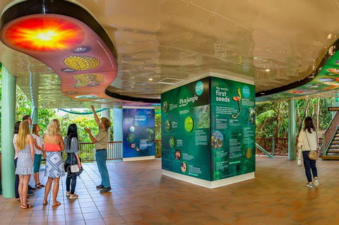 Skyrail & Kuranda Train Day Trip From Cairns - Attractions Sydney 0