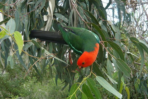 3-Day Private Adelaide To Melbourne Tour - Attractions Sydney 0