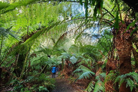 3-Day Adelaide To Melbourne Tour Including The Great Ocean Road - Attractions Sydney 2