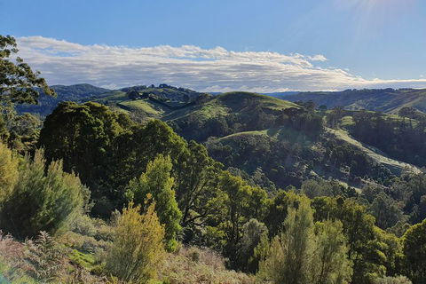 3-Day Adelaide To Melbourne Tour Including The Great Ocean Road - Attractions Sydney 5