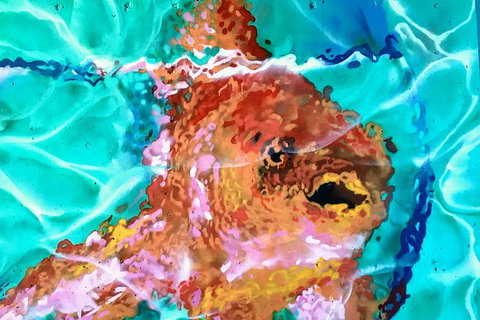 Discover Brisbane - South Bank - Attractions Sydney 4