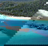 All Inclusive Tangalooma Wrecks Cruise Tour From Gold Coast - Attractions Sydney