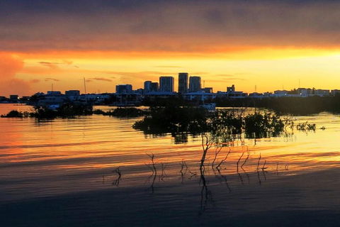 Tropical Light Sundowner Cruise With Drinks Included - Attractions Sydney 0