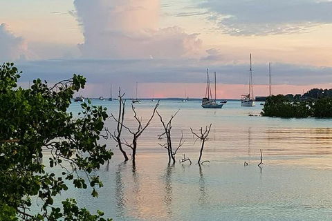 Tropical Light Sundowner Cruise With Drinks Included - Attractions Sydney 2