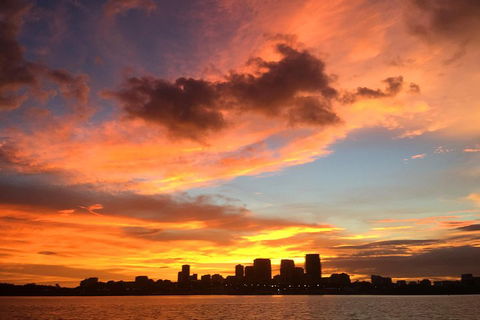 Tropical Light Sundowner Cruise With Drinks Included - Attractions Sydney 4