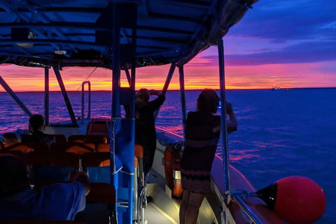 Tropical Light Sundowner Cruise With Drinks Included - Attractions Sydney 5
