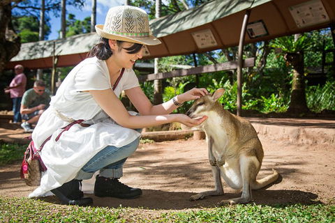 Kuranda Day Tour, TKS-RFS GRAND GOLD PLUS 0930 - Attractions Sydney 3