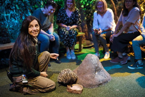 Sydney Taronga Zoo's Australian Animals Tour - Attractions Sydney 0